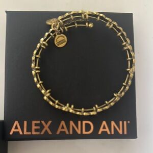 Alex and Ani Gold Bracelet
